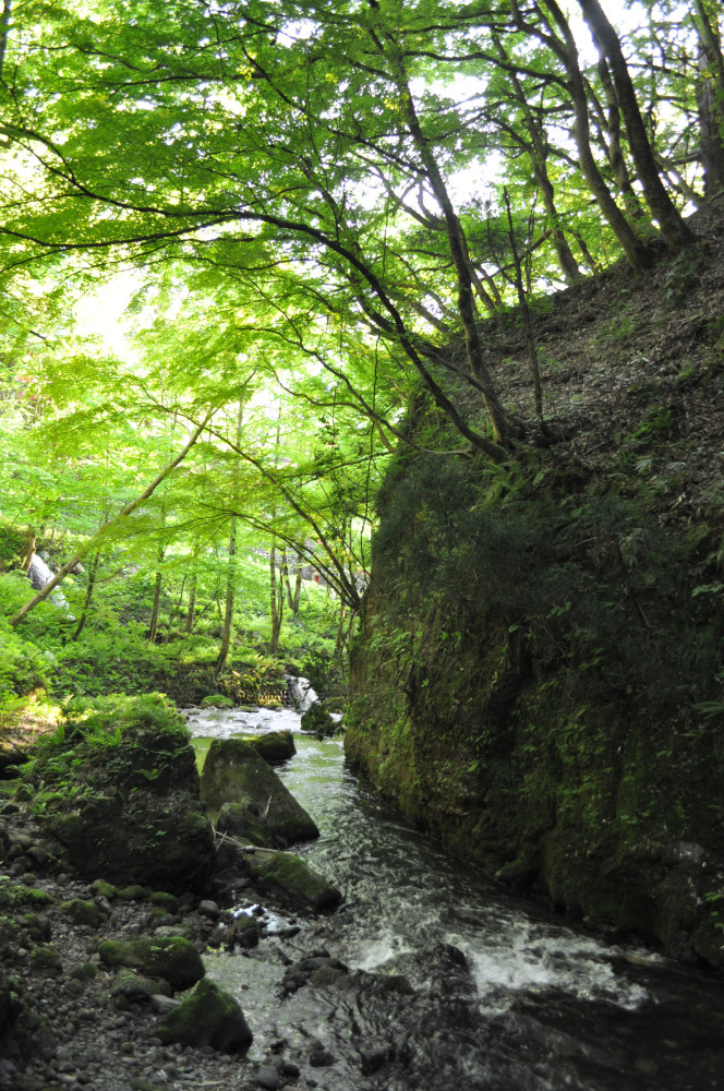 c4d66bc68b71b3024ea9a4c26d14e9